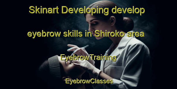 Skinart Developing develop eyebrow skills in Shiroko area | EyebrowTraining | EyebrowClasses | SkinartTraining-Japan