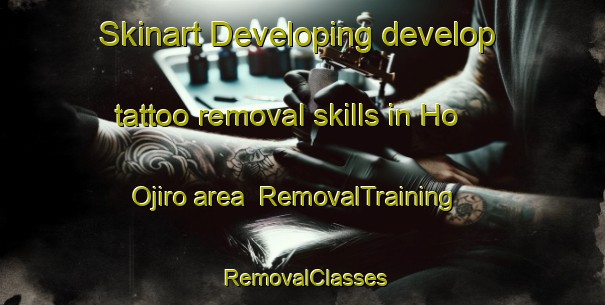 Skinart Developing develop tattoo removal skills in Ho Ojiro area | RemovalTraining | RemovalClasses | SkinartTraining-Japan