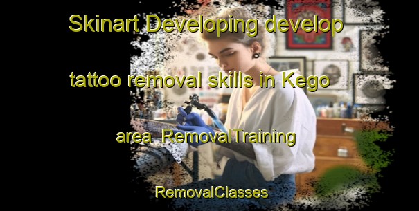 Skinart Developing develop tattoo removal skills in Kego area | RemovalTraining | RemovalClasses | SkinartTraining-Japan
