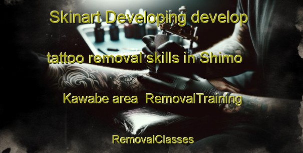 Skinart Developing develop tattoo removal skills in Shimo Kawabe area | RemovalTraining | RemovalClasses | SkinartTraining-Japan