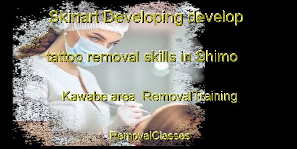 Skinart Developing develop tattoo removal skills in Shimo Kawabe area | RemovalTraining | RemovalClasses | SkinartTraining-Japan