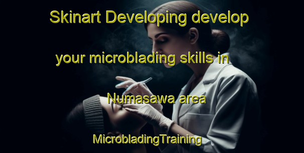 Skinart Developing develop your microblading skills in Numasawa area | MicrobladingTraining | MicrobladingClasses | SkinartTraining-Japan