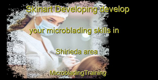 Skinart Developing develop your microblading skills in Shirieda area | #MicrobladingTraining #MicrobladingClasses #SkinartTraining-Japan