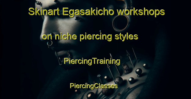 Skinart Egasakicho workshops on niche piercing styles | PiercingTraining | PiercingClasses | SkinartTraining-Japan
