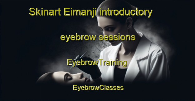 Skinart Eimanji introductory eyebrow sessions | EyebrowTraining | EyebrowClasses | SkinartTraining-Japan