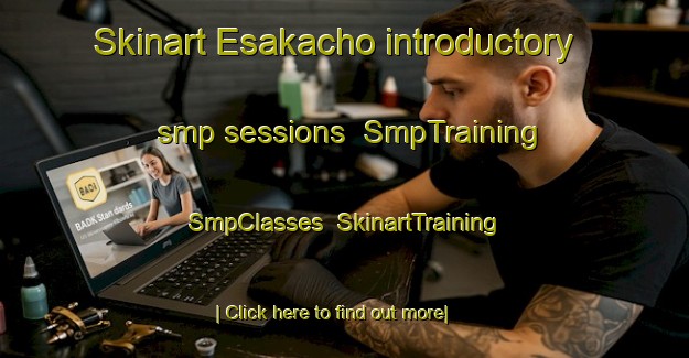 Skinart Esakacho introductory smp sessions | SmpTraining | SmpClasses | SkinartTraining-Japan