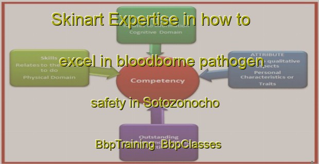 Skinart Expertise in how to excel in bloodborne pathogen safety in Sotozonocho | BbpTraining | BbpClasses | SkinartTraining-Japan