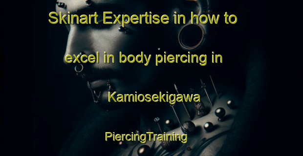 Skinart Expertise in how to excel in body piercing in Kamiosekigawa | PiercingTraining | PiercingClasses | SkinartTraining-Japan