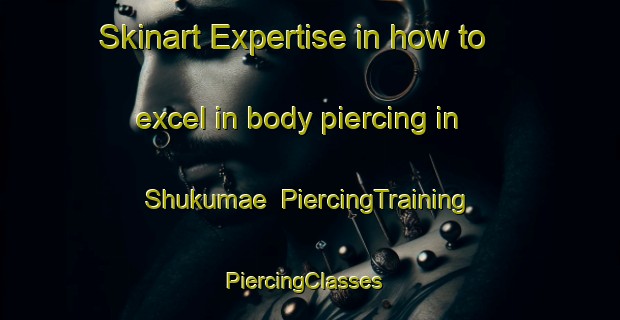 Skinart Expertise in how to excel in body piercing in Shukumae | PiercingTraining | PiercingClasses | SkinartTraining-Japan