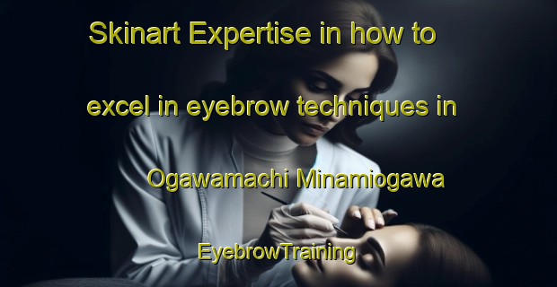 Skinart Expertise in how to excel in eyebrow techniques in Ogawamachi Minamiogawa | EyebrowTraining | EyebrowClasses | SkinartTraining-Japan