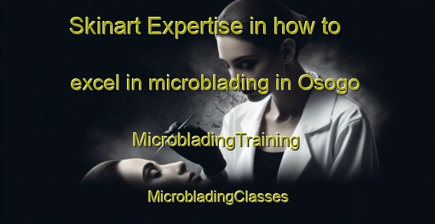 Skinart Expertise in how to excel in microblading in Osogo | #MicrobladingTraining #MicrobladingClasses #SkinartTraining-Japan