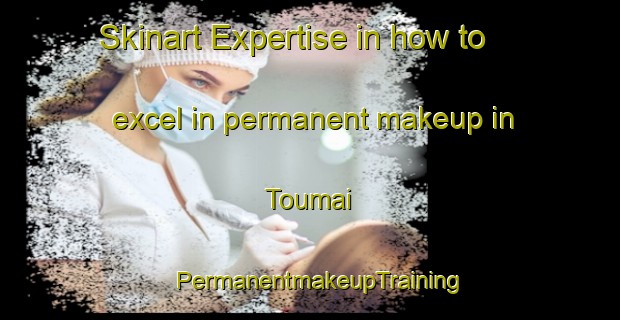 Skinart Expertise in how to excel in permanent makeup in Toumai | PermanentmakeupTraining | PermanentmakeupClasses | SkinartTraining-Japan
