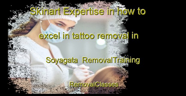 Skinart Expertise in how to excel in tattoo removal in Soyagata | RemovalTraining | RemovalClasses | SkinartTraining-Japan