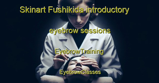 Skinart Fushikida introductory eyebrow sessions | EyebrowTraining | EyebrowClasses | SkinartTraining-Japan