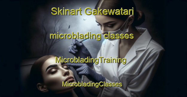 Skinart Gakewatari microblading classes | MicrobladingTraining | MicrobladingClasses | SkinartTraining-Japan