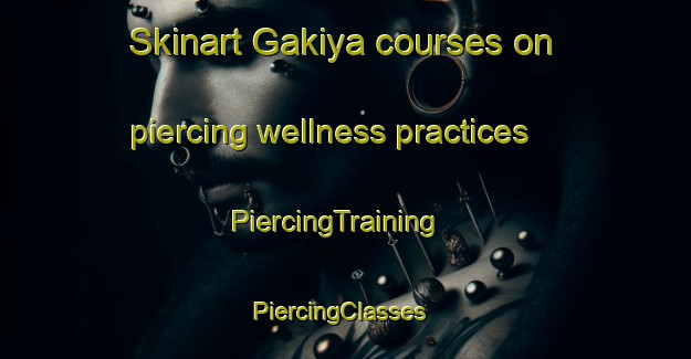 Skinart Gakiya courses on piercing wellness practices | PiercingTraining | PiercingClasses | SkinartTraining-Japan