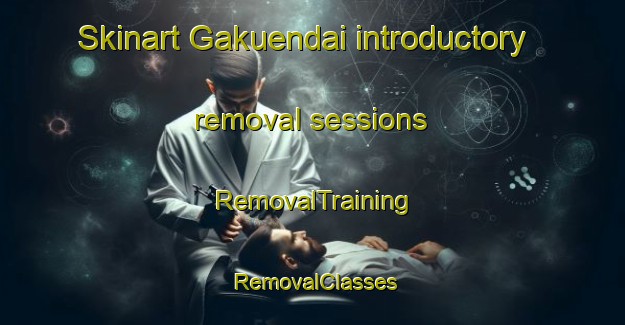 Skinart Gakuendai introductory removal sessions | RemovalTraining | RemovalClasses | SkinartTraining-Japan