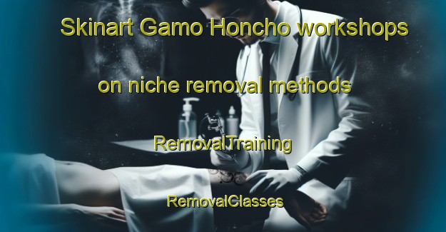 Skinart Gamo Honcho workshops on niche removal methods | RemovalTraining | RemovalClasses | SkinartTraining-Japan