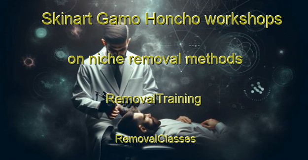 Skinart Gamo Honcho workshops on niche removal methods | RemovalTraining | RemovalClasses | SkinartTraining-Japan