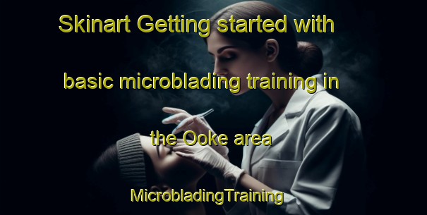 Skinart Getting started with basic microblading training in the Ooke area | MicrobladingTraining | MicrobladingClasses | SkinartTraining-Japan
