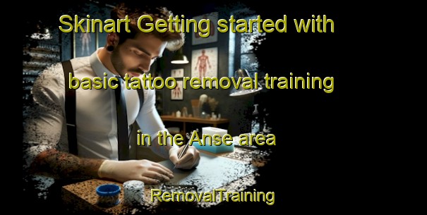 Skinart Getting started with basic tattoo removal training in the Anse area | RemovalTraining | RemovalClasses | SkinartTraining-Japan