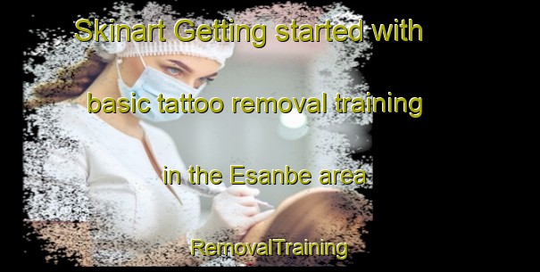 Skinart Getting started with basic tattoo removal training in the Esanbe area | RemovalTraining | RemovalClasses | SkinartTraining-Japan