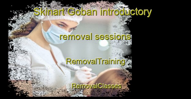 Skinart Goban introductory removal sessions | RemovalTraining | RemovalClasses | SkinartTraining-Japan