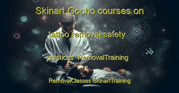 Skinart Gocho courses on tattoo removal safety practices | #RemovalTraining #RemovalClasses #SkinartTraining-Japan