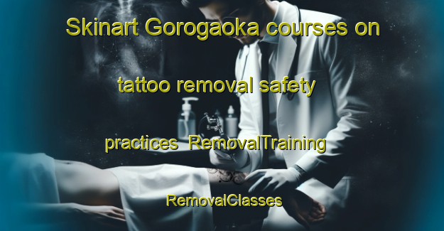 Skinart Gorogaoka courses on tattoo removal safety practices | RemovalTraining | RemovalClasses | SkinartTraining-Japan