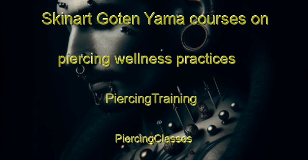 Skinart Goten Yama courses on piercing wellness practices | #PiercingTraining #PiercingClasses #SkinartTraining-Japan