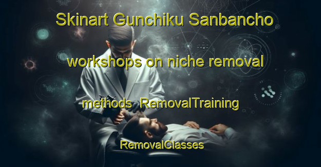 Skinart Gunchiku Sanbancho workshops on niche removal methods | RemovalTraining | RemovalClasses | SkinartTraining-Japan