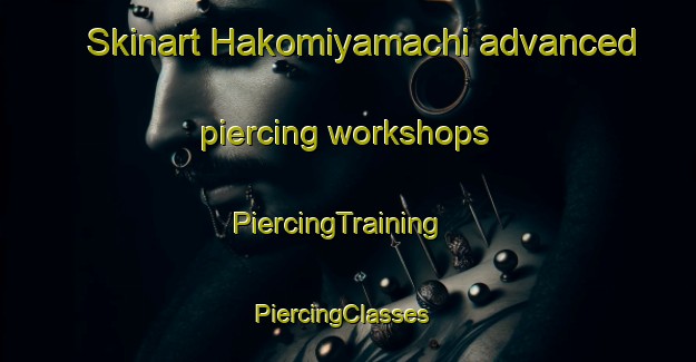Skinart Hakomiyamachi advanced piercing workshops | PiercingTraining | PiercingClasses | SkinartTraining-Japan