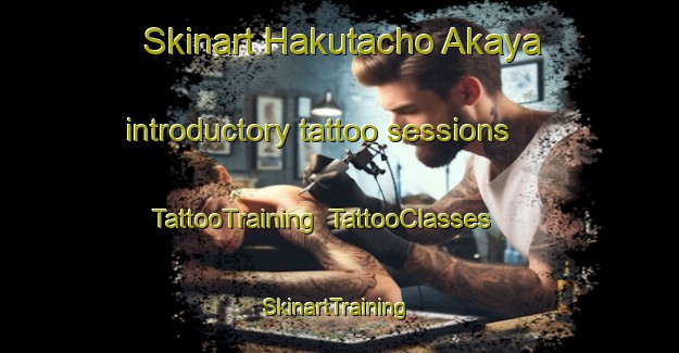 Skinart Hakutacho Akaya introductory tattoo sessions | TattooTraining | TattooClasses | SkinartTraining-Japan
