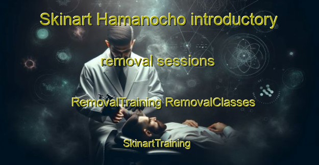 Skinart Hamanocho introductory removal sessions | #RemovalTraining #RemovalClasses #SkinartTraining-Japan