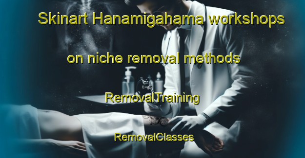 Skinart Hanamigahama workshops on niche removal methods | RemovalTraining | RemovalClasses | SkinartTraining-Japan