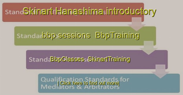 Skinart Hanashima introductory bbp sessions | BbpTraining | BbpClasses | SkinartTraining-Japan