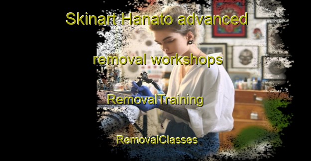 Skinart Hanato advanced removal workshops | RemovalTraining | RemovalClasses | SkinartTraining-Japan