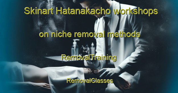 Skinart Hatanakacho workshops on niche removal methods | RemovalTraining | RemovalClasses | SkinartTraining-Japan