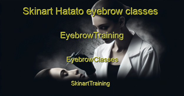 Skinart Hatato eyebrow classes | EyebrowTraining | EyebrowClasses | SkinartTraining-Japan