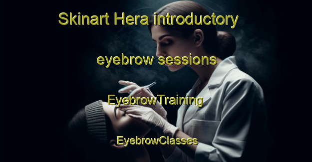 Skinart Hera introductory eyebrow sessions | EyebrowTraining | EyebrowClasses | SkinartTraining-Japan