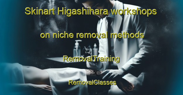 Skinart Higashihara workshops on niche removal methods | RemovalTraining | RemovalClasses | SkinartTraining-Japan