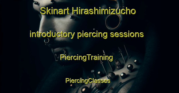 Skinart Hirashimizucho introductory piercing sessions | PiercingTraining | PiercingClasses | SkinartTraining-Japan