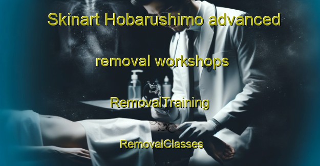 Skinart Hobarushimo advanced removal workshops | RemovalTraining | RemovalClasses | SkinartTraining-Japan