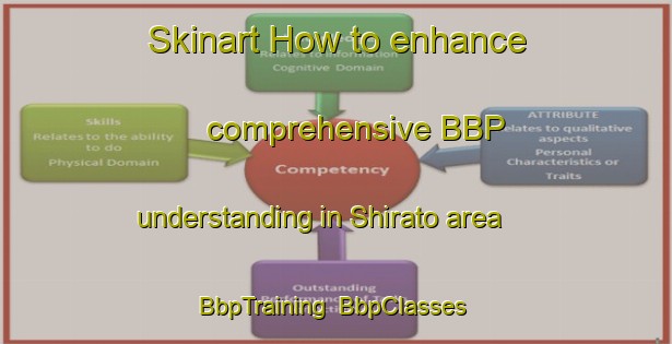 Skinart How to enhance comprehensive BBP understanding in Shirato area | BbpTraining | BbpClasses | SkinartTraining-Japan