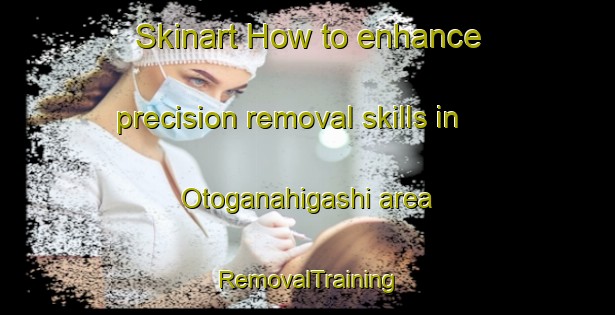 Skinart How to enhance precision removal skills in Otoganahigashi area | RemovalTraining | RemovalClasses | SkinartTraining-Japan