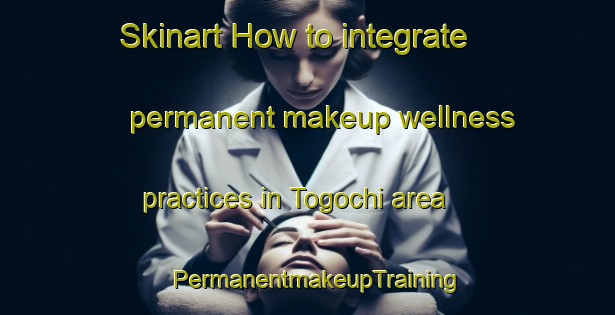 Skinart How to integrate permanent makeup wellness practices in Togochi area | PermanentmakeupTraining | PermanentmakeupClasses | SkinartTraining-Japan