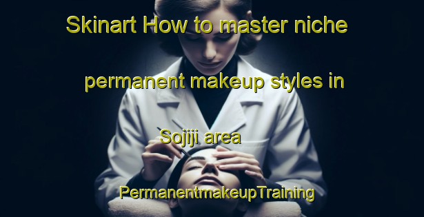 Skinart How to master niche permanent makeup styles in Sojiji area | PermanentmakeupTraining | PermanentmakeupClasses | SkinartTraining-Japan
