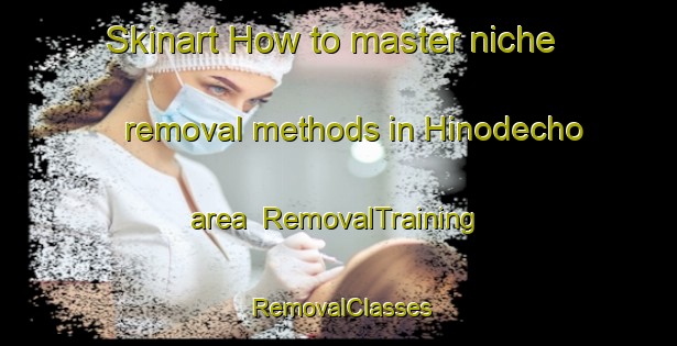Skinart How to master niche removal methods in Hinodecho area | RemovalTraining | RemovalClasses | SkinartTraining-Japan