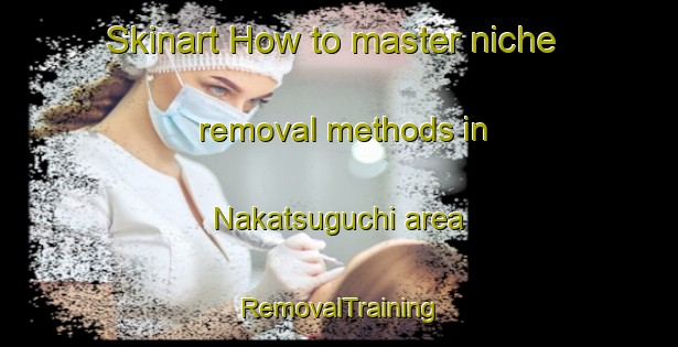 Skinart How to master niche removal methods in Nakatsuguchi area | RemovalTraining | RemovalClasses | SkinartTraining-Japan