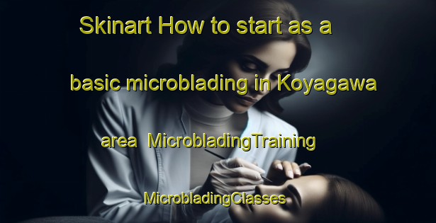 Skinart How to start as a basic microblading in Koyagawa area | MicrobladingTraining | MicrobladingClasses | SkinartTraining-Japan